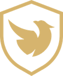 Reven Esports