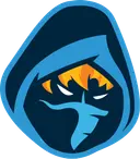 Rogue Esports Club