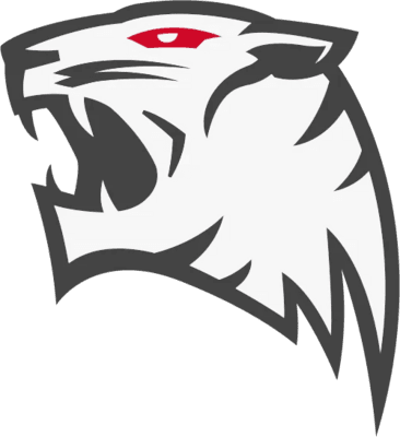 ROX Tigers