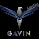 Sansin Gavin