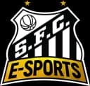 Santos e-Sports