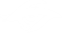 Secret Whales