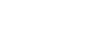 Secret Whales