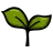 Seed 32