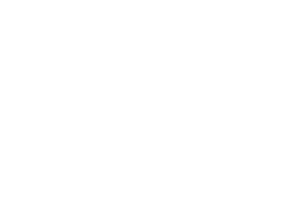Shadow Battlica