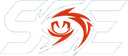 Silent Storm Esports