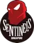 Singapore Sentinels