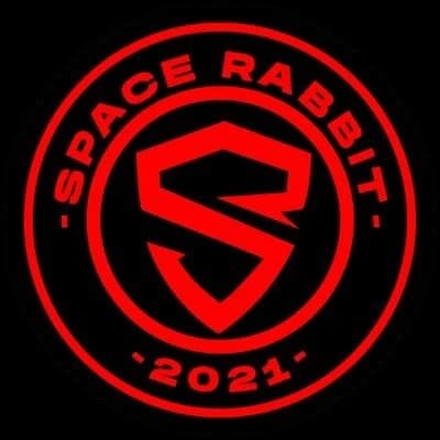 Space Rabbit Esports