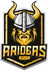 Split Raiders