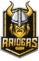 Split Raiders