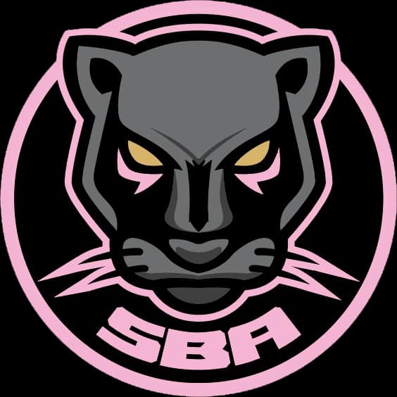 Sport Boys Association