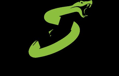 Striking Vipers