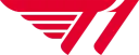 T1