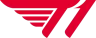 T1
