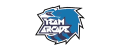 Team Arcade