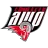 Team AWP