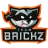 Team Brickz