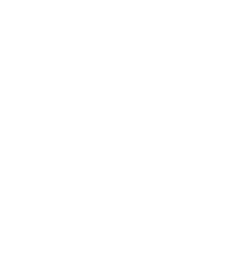 Team Brute