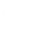 Team Brute