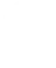 Team Brute