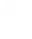 Team Brute