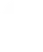 Team Brute