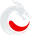 Team Dragon Knights