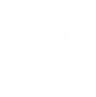 INS