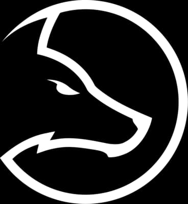 Team LDLC