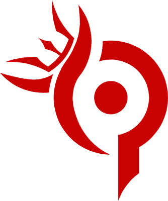 Team Paradox