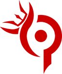 Team Paradox