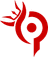 Team Paradox Academy