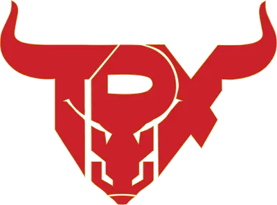 Team Paradox Academy