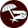 Team Paradox