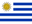 Team Uruguay