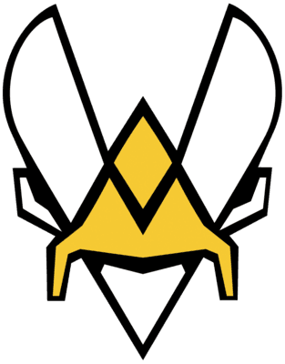Team Vitality Academy