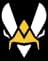 Team Vitality Academy