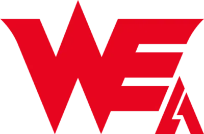 Team WE Academy