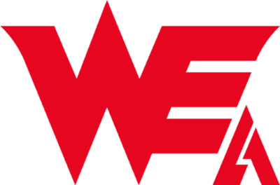 team-we-academy