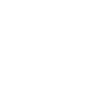 Team Whales