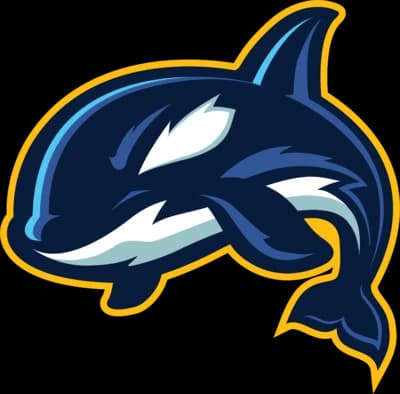 Team Whales