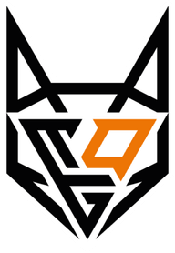 TeamOrangeGaming