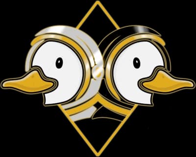 The Astroducks