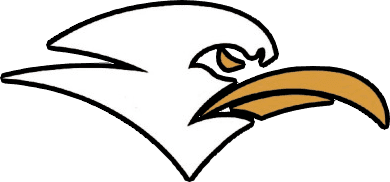The Gulls Esports