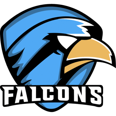 toxicfalcons-esports