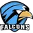ToxicFalcons
