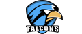 ToxicFalcons