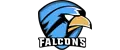 ToxicFalcons