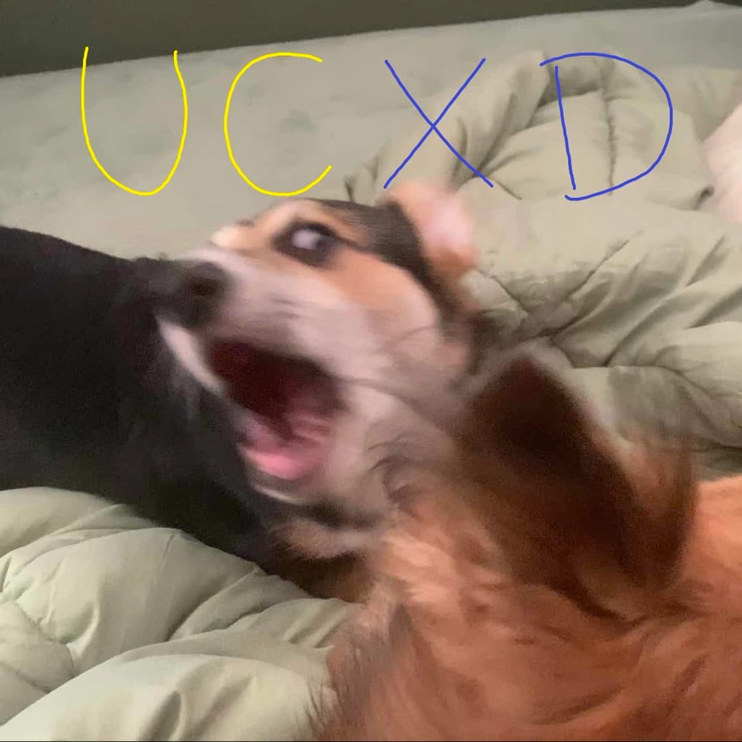 UCXD