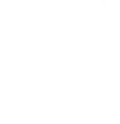 Valkiria's Vikings